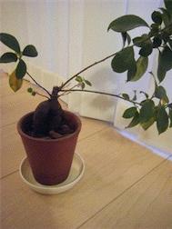DSCF8852.JPG