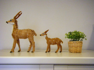 DSCF8859.JPG