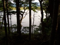 知床五湖２.jpg