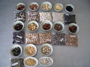 豆　１.jpg