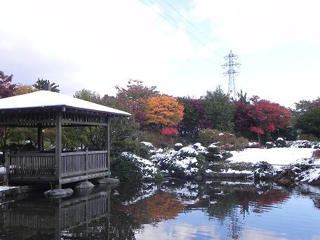 101027平岡樹芸センター・日本庭園も雪.jpg