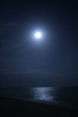 MALDIVES2007 105.jpg