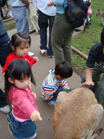 カンガルーどこ？　アソコじゃない？.jpg