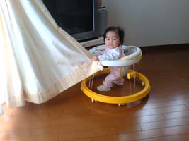 引っ張ってみます。　　うたん.jpg