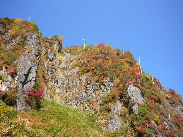 焼岳紅葉