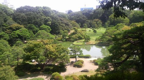 2010.8.20 六義園・藤代峠から園内を望む.jpg