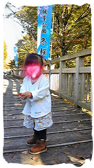 2008.11.14..城峯公園.冬桜♪.jpg