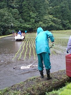 田植え.JPG
