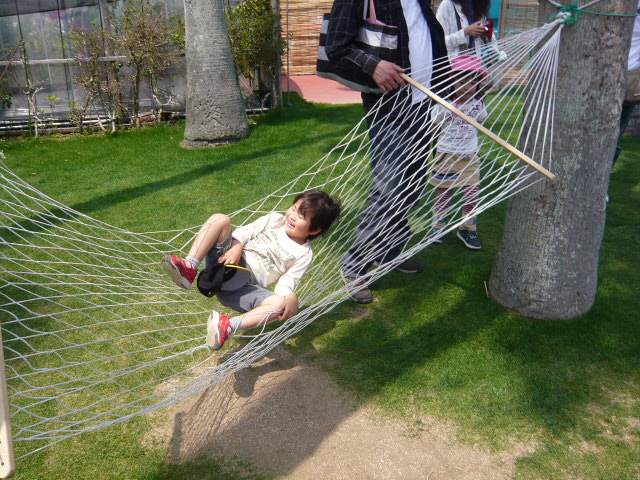 ハンモックのこしぇ.jpg