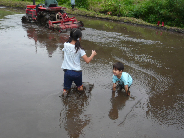泥んこの投げ合い.jpg