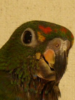 2009-10-19 17:03:12