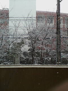 ゆ～きやコンコン♪