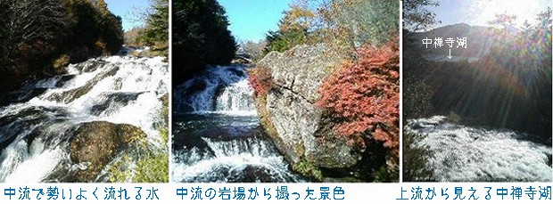 竜頭の滝中流.jpg