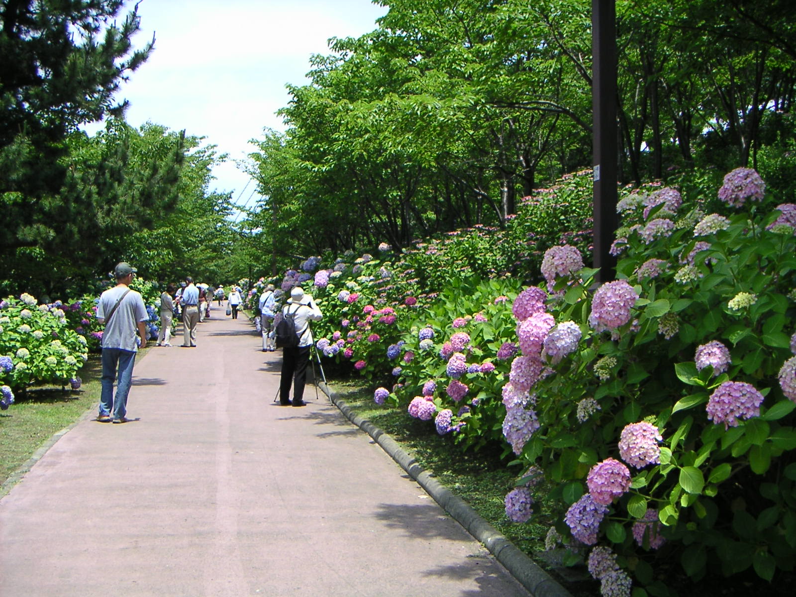 PICT0012.JPG