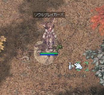 1116な、泣かないモン.JPG