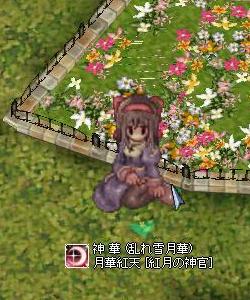 神華2.JPG