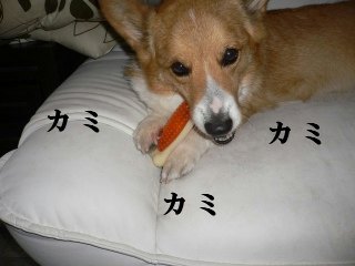 s-2009.06.20 032.jpg