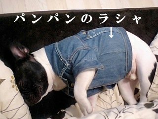 s-2009.01.01 0 020　.jpg