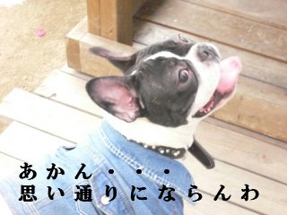 s-2009.01.10 009.jpg