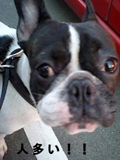 2009.08.22 011.jpg