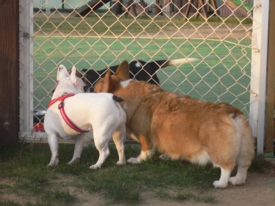 s-2009.10.18 021.jpg