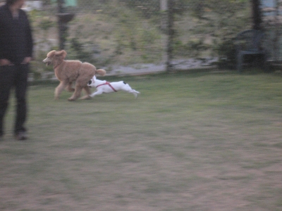 s-2009.10.18 024.jpg