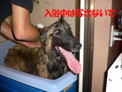 s-2009.09.13 030.jpg