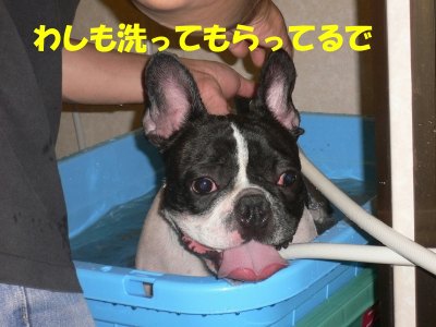 s-2009.09.06 041.jpg