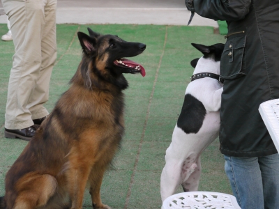 s-2009.11.23 144.jpg