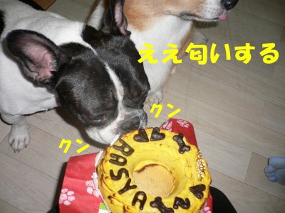 s-2009.10.05 009.jpg