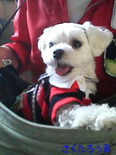 さくたろうくん