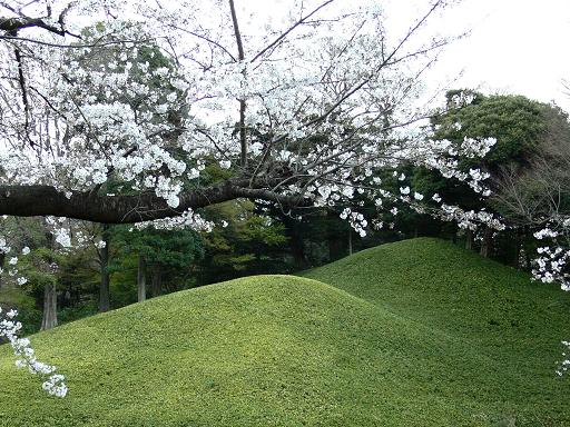 山と桜