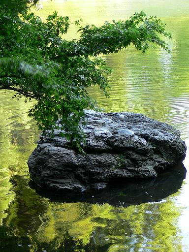 紅葉と岩と水のお話２