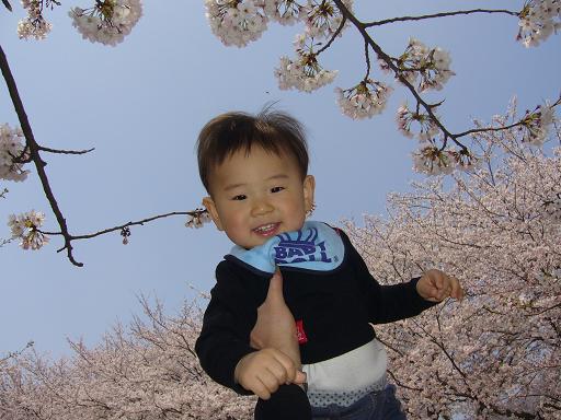 チネ花見　ソラ