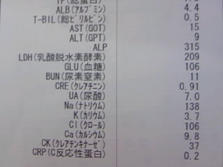 8月10日血液検査結果その2.JPG