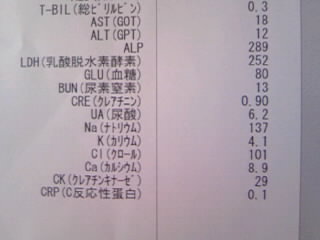７月２８日検査結果その２.JPG