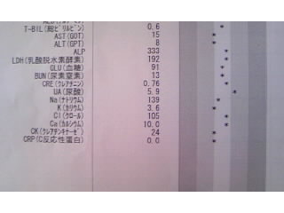 ８月３１日血液検査その２.jpg