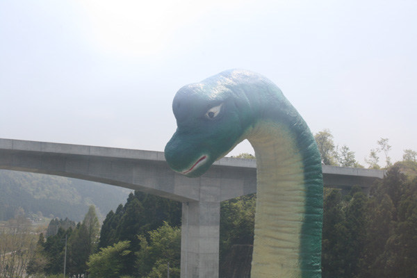 ブラキ.jpg
