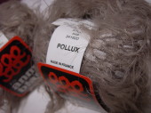 20081111POLLUX3