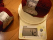 20090112_ダイヤクチュールアルパカ_3