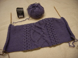 20090130アランセーター