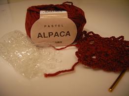 20080129ニットリング使用。