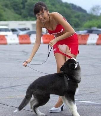 おそるべきペット