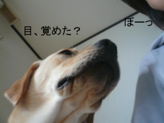P1050614.JPG