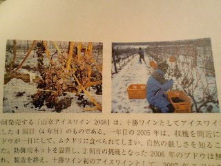 100320_1819~01.jpg
