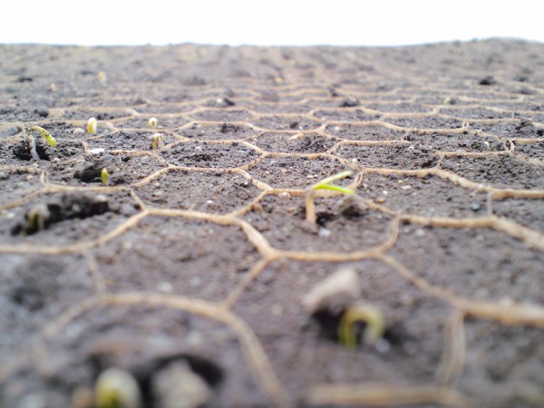 CA3C0102_600x450.JPG