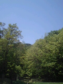 080609_1144~0001.jpg