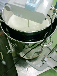 090604_1122~01.jpg