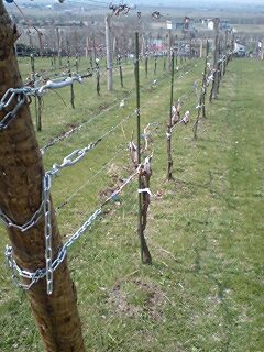 080426_1036~0003.jpg