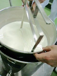 090604_1258~01.jpg